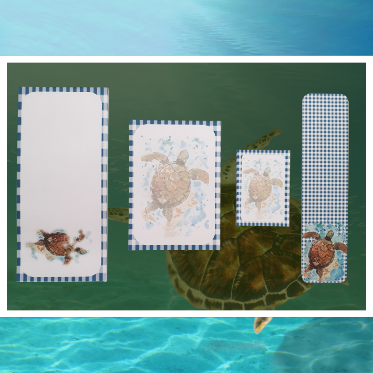 Lot papeterie Tortue Vichy – 3 bloc-notes (Bébé, DL, A6) + marque-page aquarelle FSC. Cadeau papeterie complet, poétique et éco-responsable.