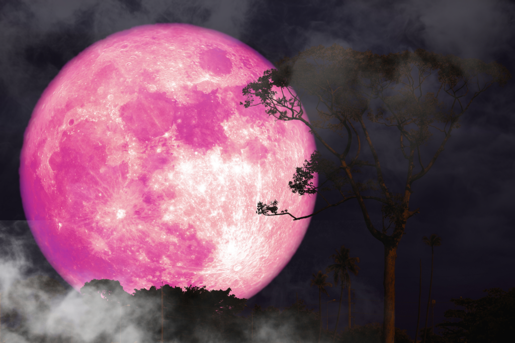 🌕 Pleine Lune Rose du 2 Avril 2026 : Éveille ta magie intérieure Rituel doux pour libérer ton Pouvoir Féminin