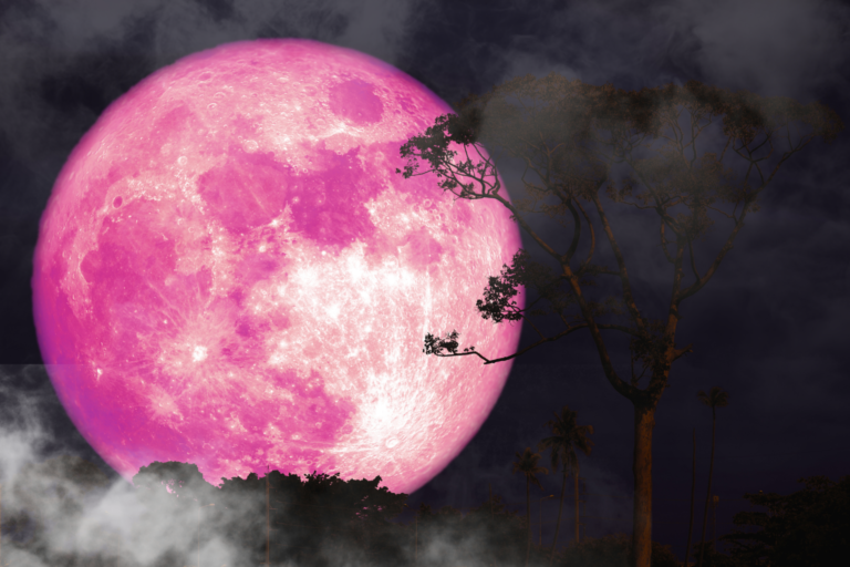 🌕 Pleine Lune Rose du 2 Avril 2026 : Éveille ta magie intérieure Rituel doux pour libérer ton Pouvoir Féminin