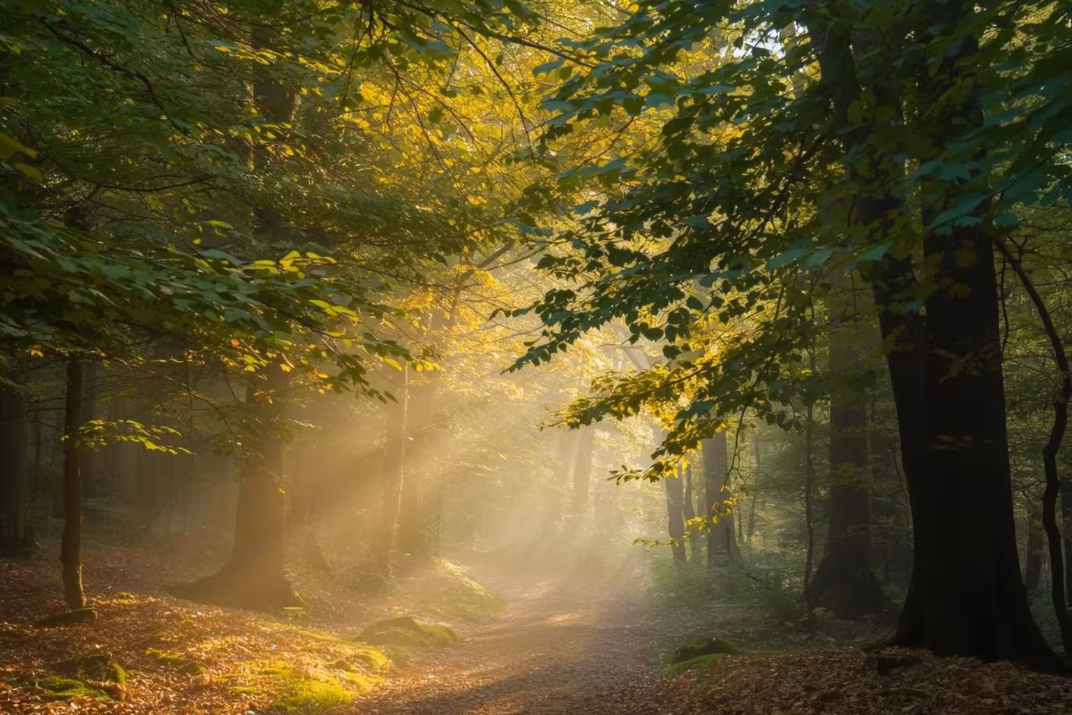 Couverture-finale-la-nature-comme-therapeute